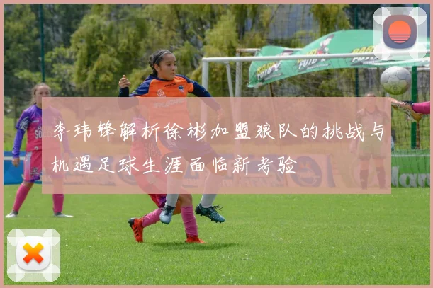 李玮锋解析徐彬加盟狼队的挑战与机遇足球生涯面临新考验